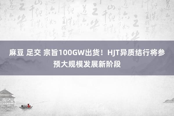 麻豆 足交 宗旨100GW出货！HJT异质结行将参预大规模发展新阶段