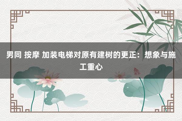 男同 按摩 加装电梯对原有建树的更正：想象与施工重心