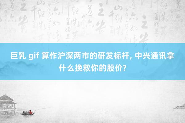 巨乳 gif 算作沪深两市的研发标杆， 中兴通讯拿什么挽救你的股价?