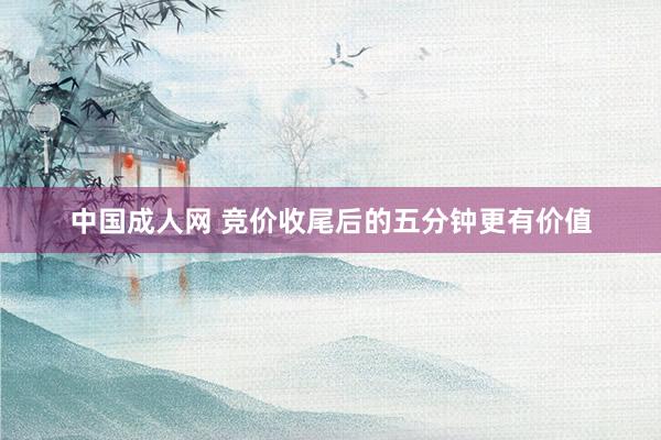 中国成人网 竞价收尾后的五分钟更有价值