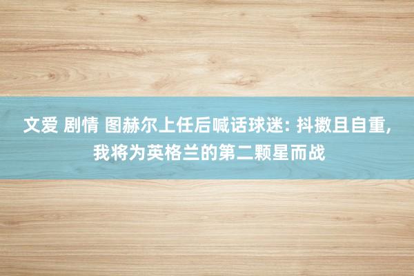 文爱 剧情 图赫尔上任后喊话球迷: 抖擞且自重， 我将为英格兰的第二颗星而战