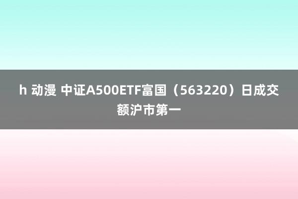 h 动漫 中证A500ETF富国（563220）日成交额沪市第一