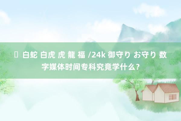 ✨白蛇 白虎 虎 龍 福 /24k 御守り お守り 数字媒体时间专科究竟学什么？