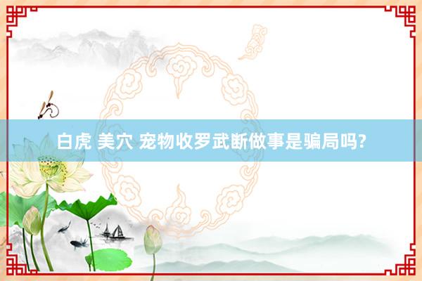 白虎 美穴 宠物收罗武断做事是骗局吗?