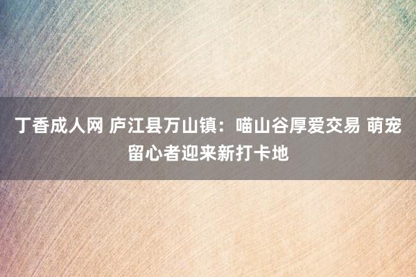 丁香成人网 庐江县万山镇：喵山谷厚爱交易 萌宠留心者迎来新打卡地
