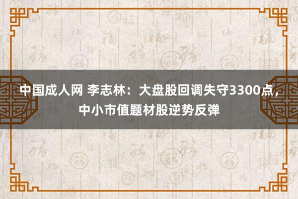中国成人网 李志林：大盘股回调失守3300点，中小市值题材股逆势反弹