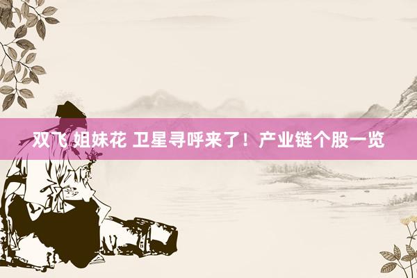 双飞 姐妹花 卫星寻呼来了！产业链个股一览