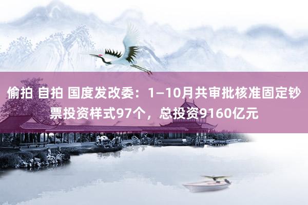 偷拍 自拍 国度发改委：1—10月共审批核准固定钞票投资样式97个，总投资9160亿元