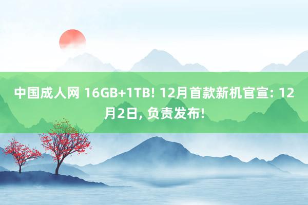 中国成人网 16GB+1TB! 12月首款新机官宣: 12月2日， 负责发布!