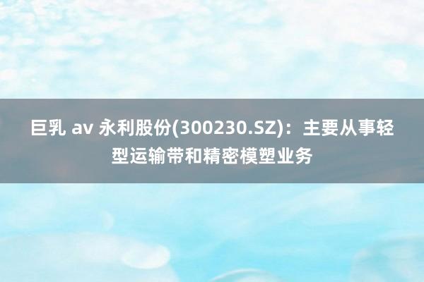 巨乳 av 永利股份(300230.SZ)：主要从事轻型运输带和精密模塑业务