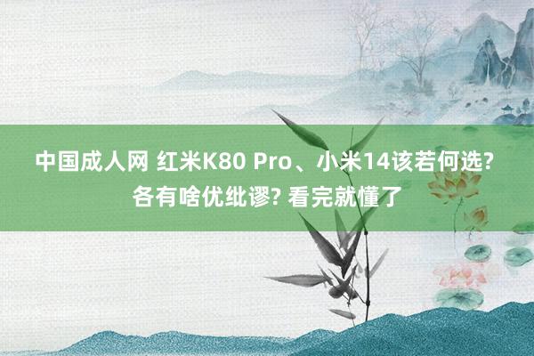 中国成人网 红米K80 Pro、小米14该若何选? 各有啥优纰谬? 看完就懂了