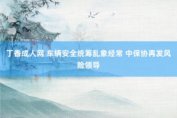 丁香成人网 车辆安全统筹乱象经常 中保协再发风险领导
