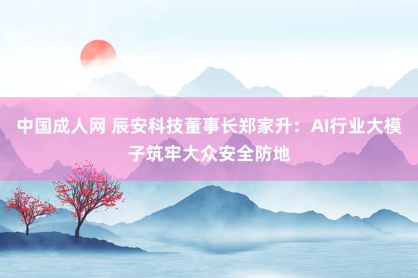 中国成人网 辰安科技董事长郑家升：AI行业大模子筑牢大众安全防地