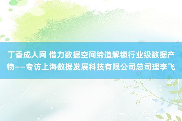 丁香成人网 借力数据空间缔造解锁行业级数据产物——专访上海数据发展科技有限公司总司理李飞
