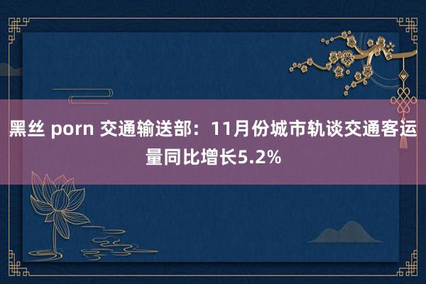 黑丝 porn 交通输送部：11月份城市轨谈交通客运量同比增长5.2%