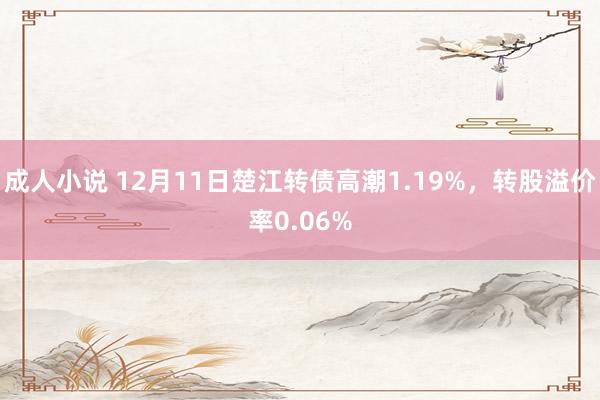 成人小说 12月11日楚江转债高潮1.19%，转股溢价率0.06%