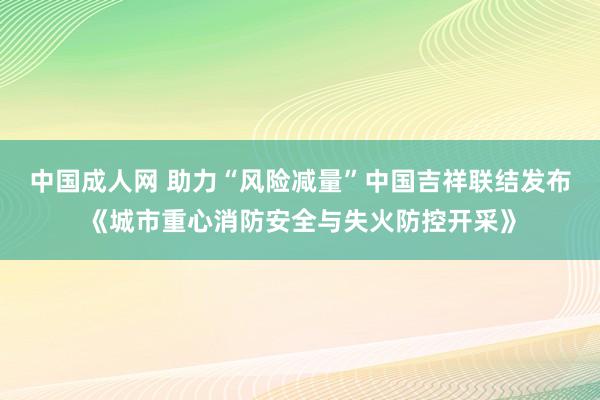 中国成人网 助力“风险减量”中国吉祥联结发布《城市重心消防安全与失火防控开采》