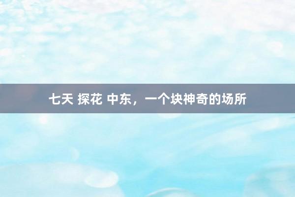 七天 探花 中东，一个块神奇的场所