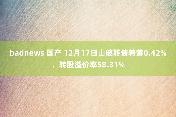 badnews 国产 12月17日山玻转债着落0.42%，转股溢价率58.31%