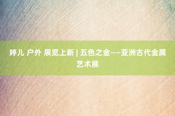婷儿 户外 展览上新 | 五色之金——亚洲古代金属艺术展