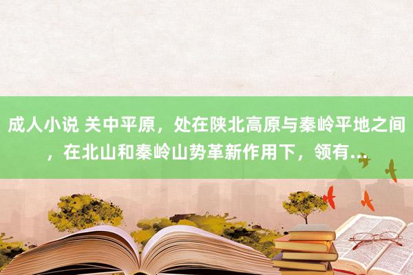 成人小说 关中平原,处在陕北高原与秦岭平地之间,在北山和秦岭山势革新作用下,领有...