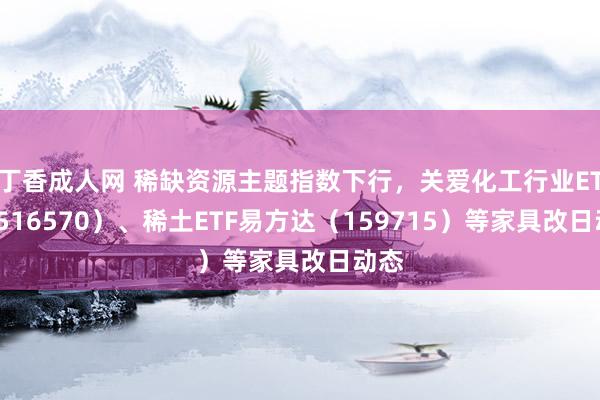 丁香成人网 稀缺资源主题指数下行，关爱化工行业ETF（516570）、稀土ETF易方达（159715）等家具改日动态