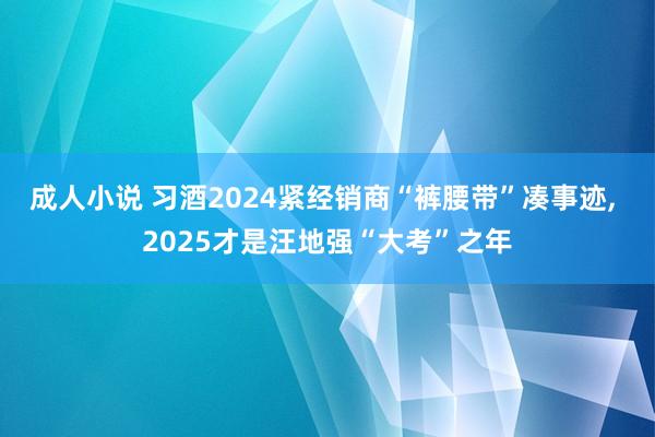 成人小说 习酒2024紧经销商“裤腰带”凑事迹， 2025才是汪地强“大考”之年