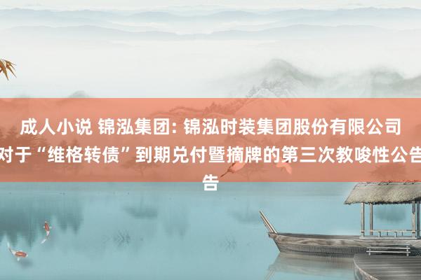 成人小说 锦泓集团: 锦泓时装集团股份有限公司对于“维格转债”到期兑付暨摘牌的第三次教唆性公告