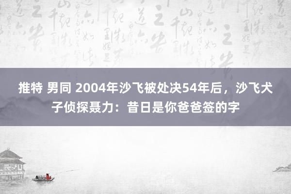 推特 男同 2004年沙飞被处决54年后，沙飞犬子侦探聂力：昔日是你爸爸签的字