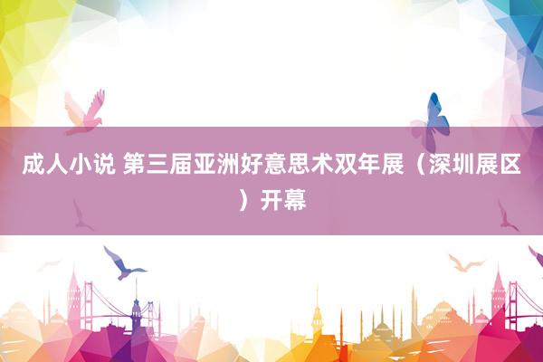 成人小说 第三届亚洲好意思术双年展（深圳展区）开幕