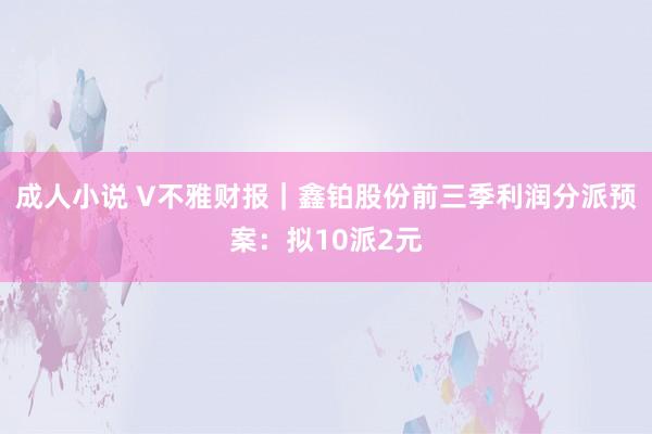 成人小说 V不雅财报｜鑫铂股份前三季利润分派预案：拟10派2元
