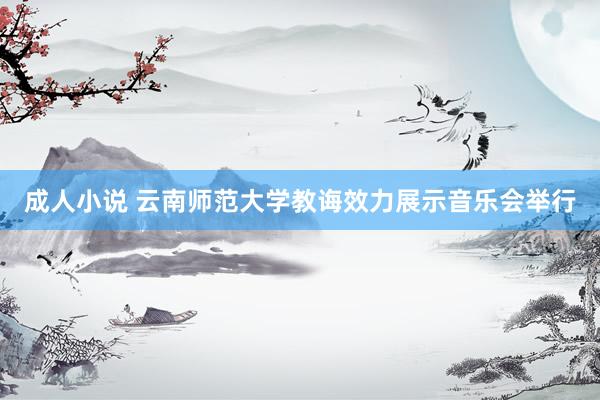 成人小说 云南师范大学教诲效力展示音乐会举行