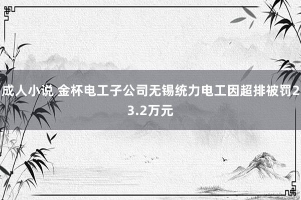 成人小说 金杯电工子公司无锡统力电工因超排被罚23.2万元