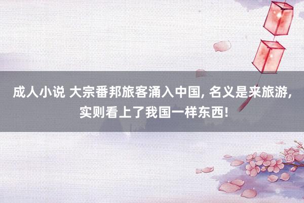成人小说 大宗番邦旅客涌入中国， 名义是来旅游， 实则看上了我国一样东西!