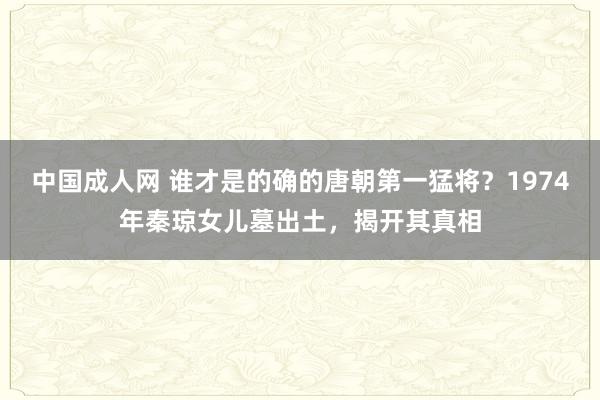 中国成人网 谁才是的确的唐朝第一猛将？1974年秦琼女儿墓出土，揭开其真相