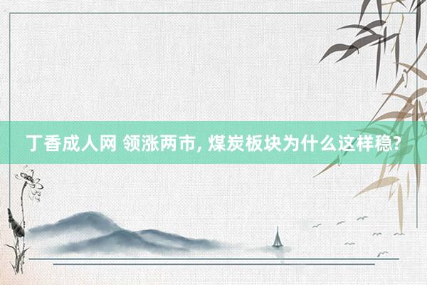 丁香成人网 领涨两市， 煤炭板块为什么这样稳?