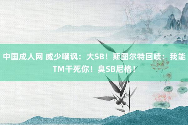 中国成人网 威少嘲讽：大SB！斯图尔特回喷：我能TM干死你！臭SB尼格！