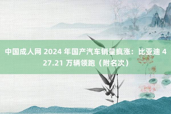 中国成人网 2024 年国产汽车销量疯涨：比亚迪 427.21 万辆领跑（附名次）