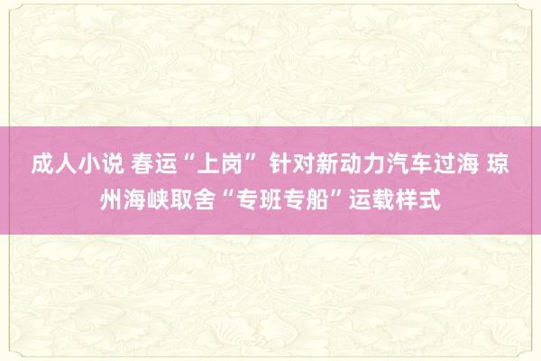 成人小说 春运“上岗” 针对新动力汽车过海 琼州海峡取舍“专班专船”运载样式