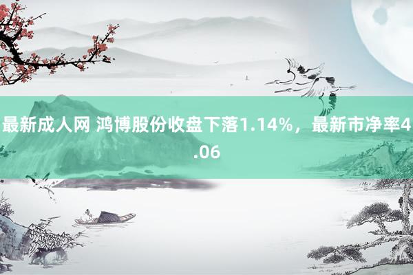最新成人网 鸿博股份收盘下落1.14%，最新市净率4.06