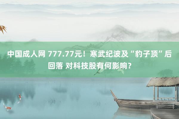 中国成人网 777.77元！寒武纪波及“豹子顶”后回落 对科技股有何影响？