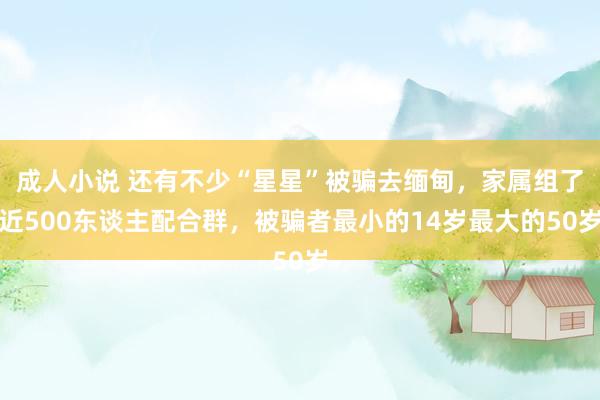 成人小说 还有不少“星星”被骗去缅甸，家属组了近500东谈主配合群，被骗者最小的14岁最大的50岁