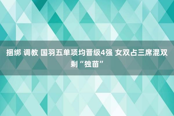 捆绑 调教 国羽五单项均晋级4强 女双占三席混双剩“独苗”