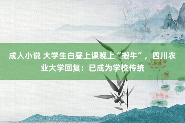 成人小说 大学生白昼上课晚上“搬牛”，四川农业大学回复：已成为学校传统