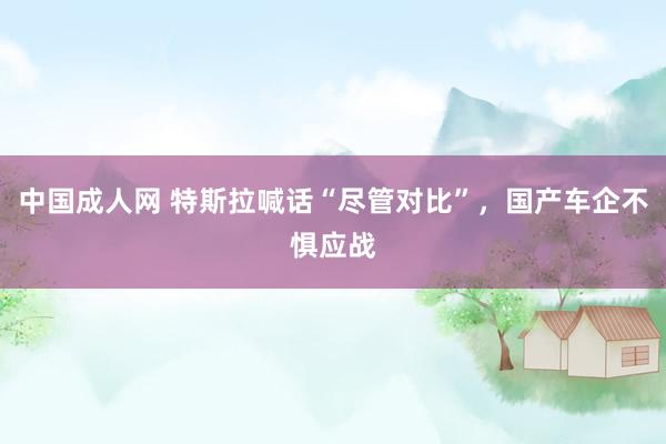 中国成人网 特斯拉喊话“尽管对比”，国产车企不惧应战