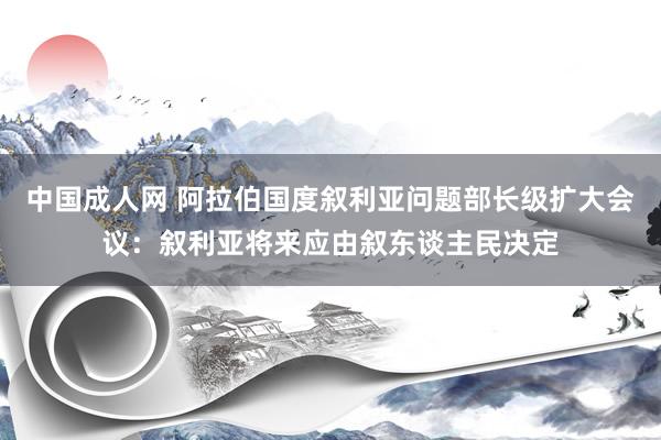 中国成人网 阿拉伯国度叙利亚问题部长级扩大会议：叙利亚将来应由叙东谈主民决定