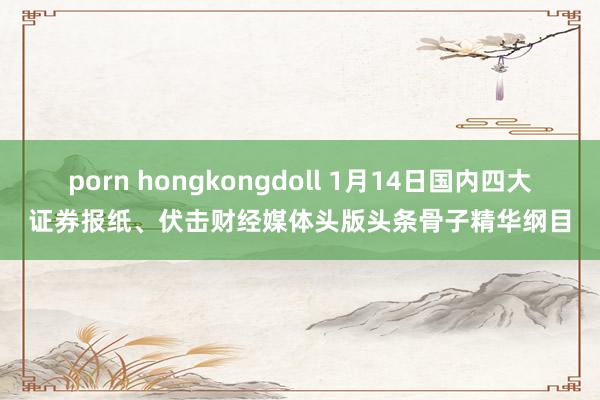 porn hongkongdoll 1月14日国内四大证券报纸、伏击财经媒体头版头条骨子精华纲目