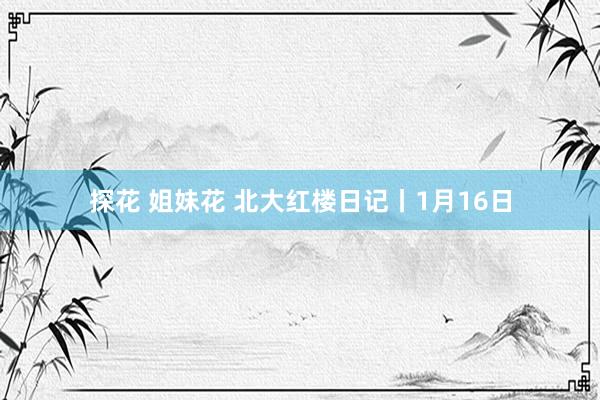 探花 姐妹花 北大红楼日记丨1月16日