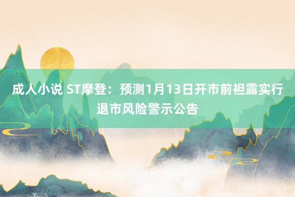 成人小说 ST摩登：预测1月13日开市前袒露实行退市风险警示公告