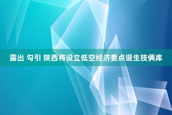 露出 勾引 陕西将设立低空经济要点诞生技俩库